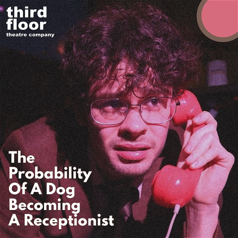 The Probability of a Dog Becoming a Receptionist