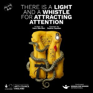 There Is a Light and a Whistle for Attracting Attention
